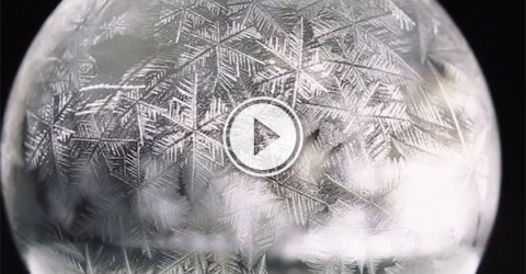 Freezing soap bubbles (Video)