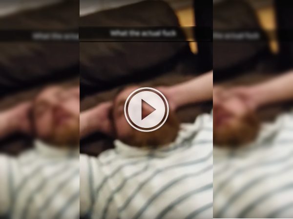 Is this a snore, or an orgasmic animal? We'll never know (Video)