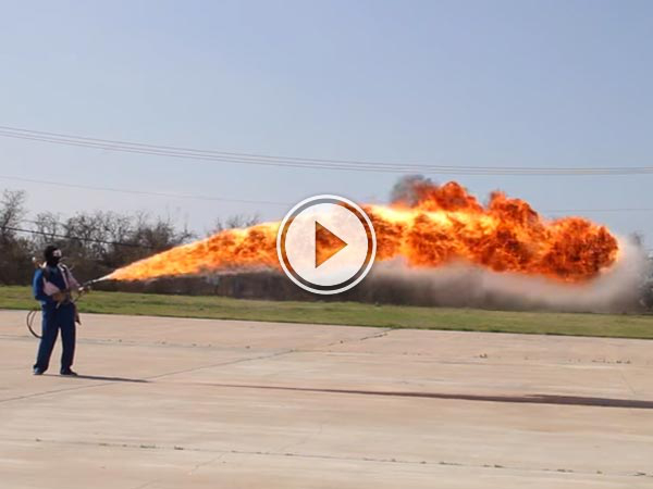 Gav and Dan discover that often, some of the most beautiful things in life are the same things that will take your face right off.