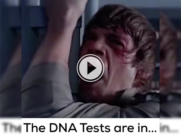 Screenshot of the video with "DNA tests are in" written on it