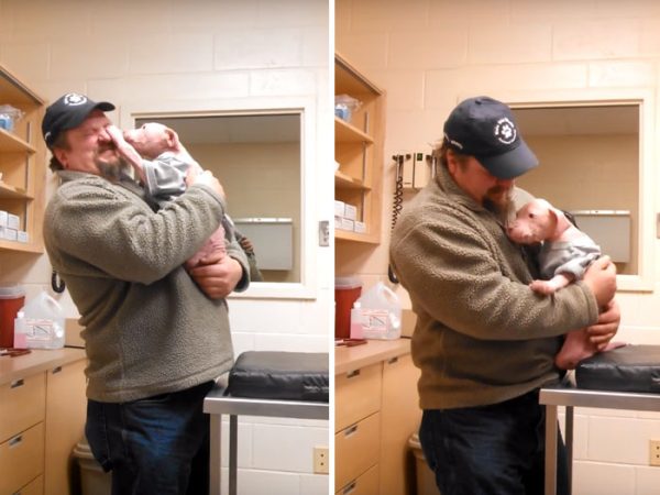 A man in gree tee playing with a pup in his arms