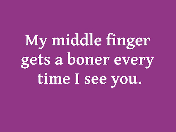 Insult about being so ugly that have to diss using boner middle finger.