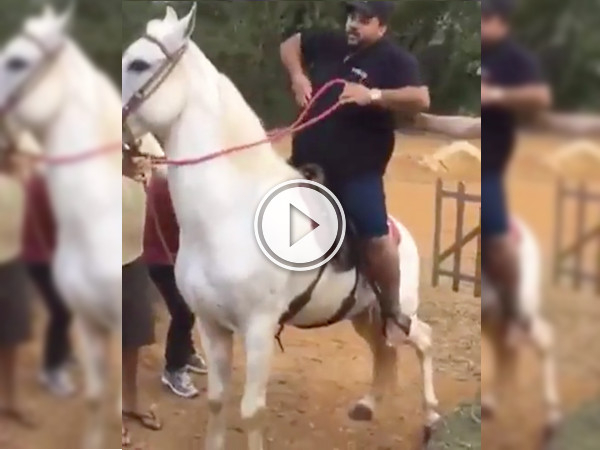 At least getting off the horse wasn't as hard as getting on (Video)