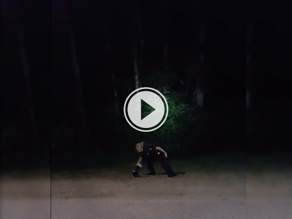 North Bay officers help a skunk in need (Video)