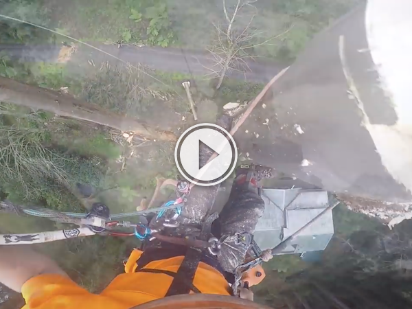 When you're a lumberjack, it helps if you don't look down! (Video)
