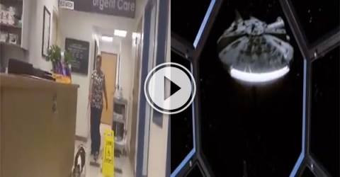 Happy dog sounds like TIE fighter from Star Wars (Video)