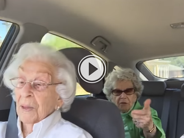 Two Grannies hilariously bicker as only best friends can