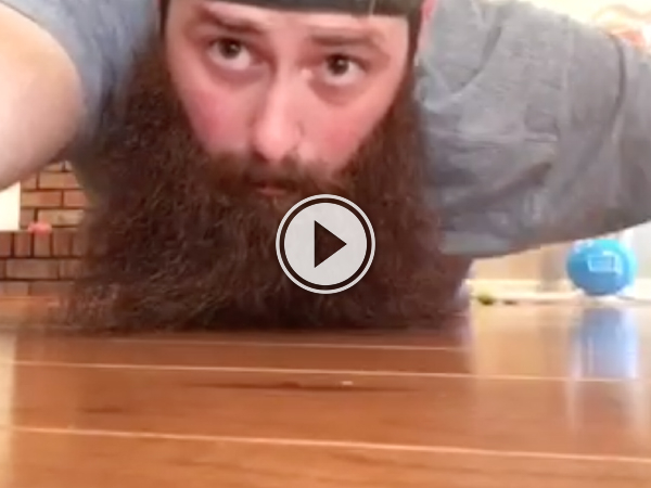 Puppy hiding behind guys beard (Video)