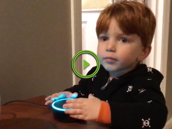 Amazon Echo tries showing porn to little boy (Video)