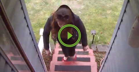 Guy uses blank 12 gauge shell to get sweet justice on box thief