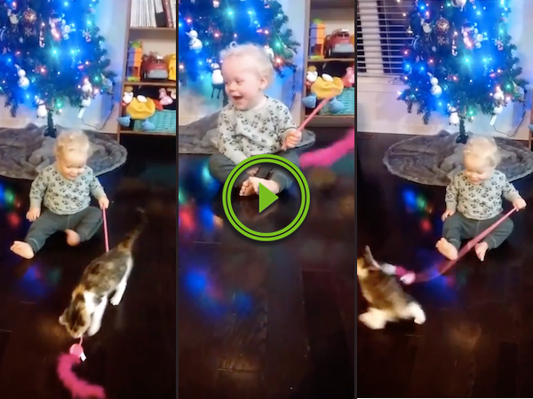 There's a surprisingly deep laugh coming from this kid (Video)