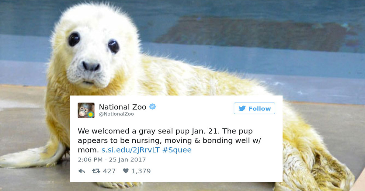 Zoos get into amazing #cuteanimaltweetoff (27 Photos)