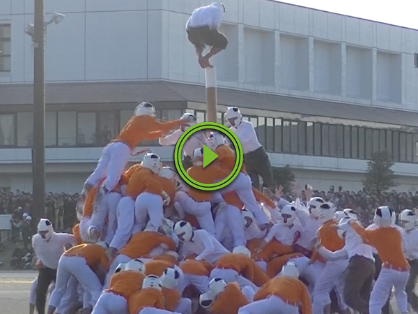 You won't believe how awesome Japan's sport called Bo-Taoshi is