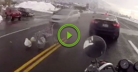 Rogue shopping cart tries to jaywalk but fails (Video)