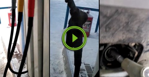 It's so cold in Russia that gas pump hoses freezes standing up