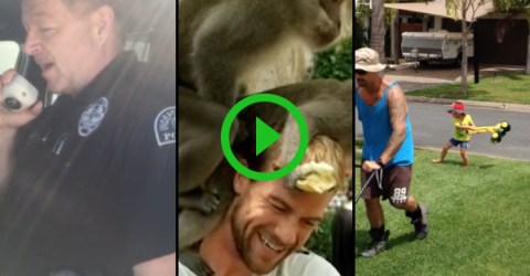 The $5000 user submitted video winner and top 5 videos of 2016!