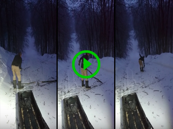 Man slides down ice upright while cleaning ski slope