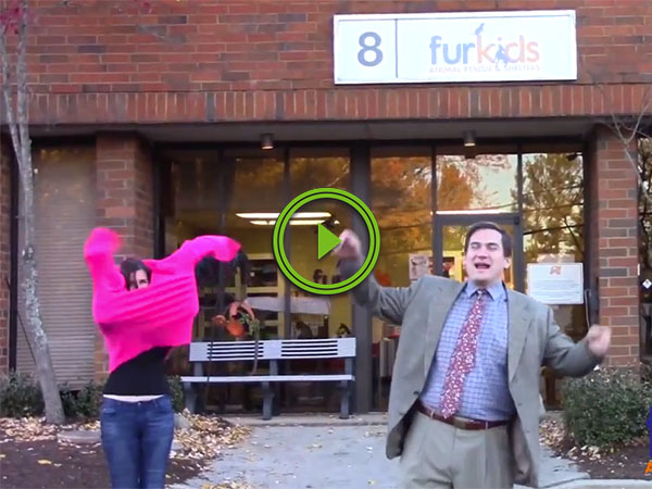 This local animal shelter commercial deserves an award (Video)