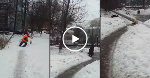 Women survives near-fatal tree felling accident (Video)