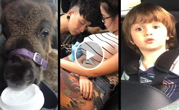 Boob job gone bad + more clips you need to see this week