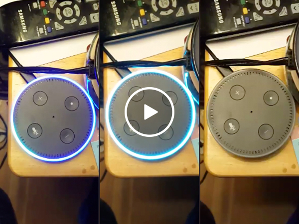 "Alexa, are you connected to the C.I.A.?" (Video)