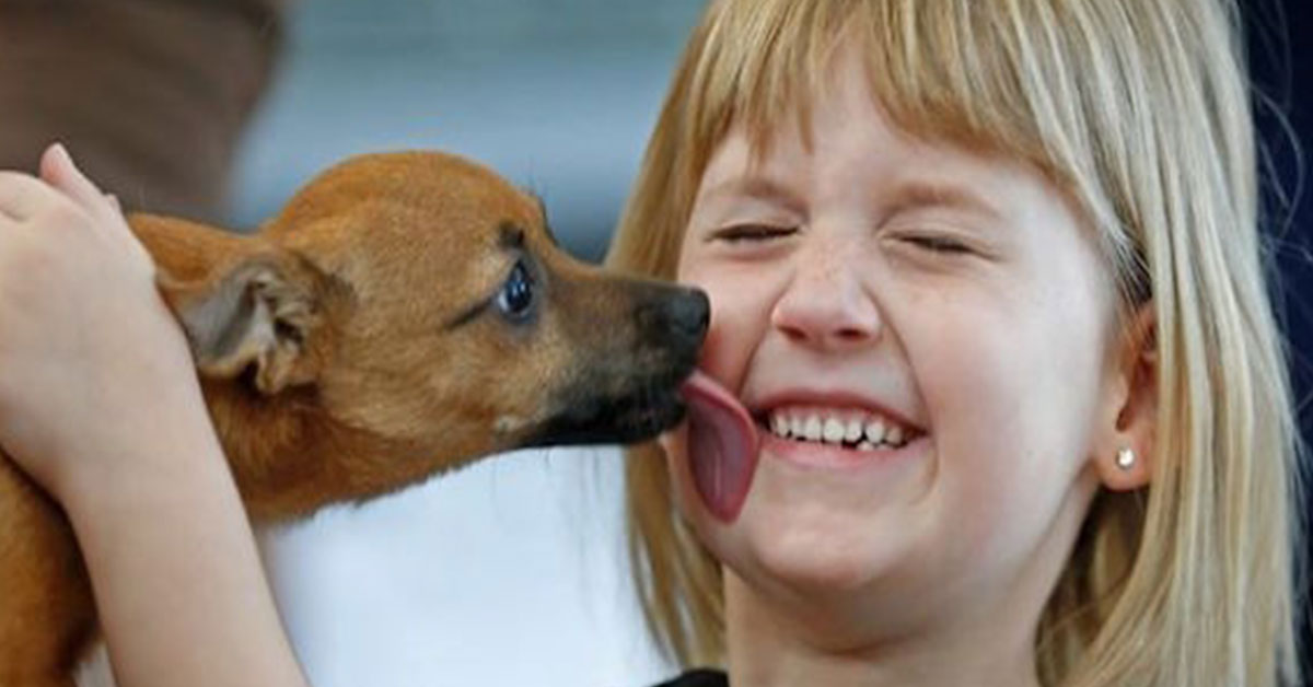 Puppy that overdosed on heroin finds a new home (7 Photos)