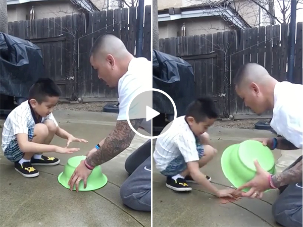 Savage dad tricks son into grabbing fresh turd, son gets revenge (Video)