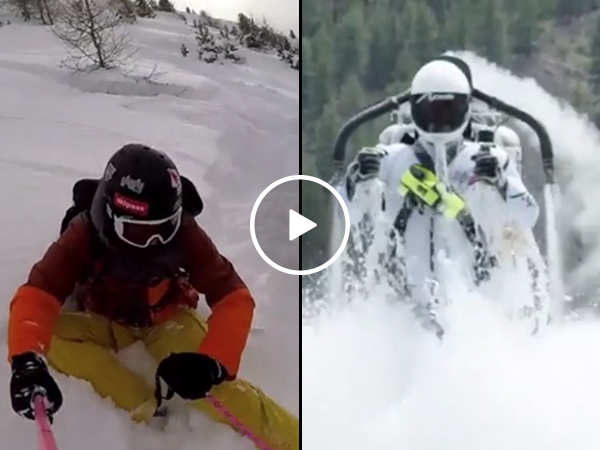 Random video compilation to ease your weekday (Video)