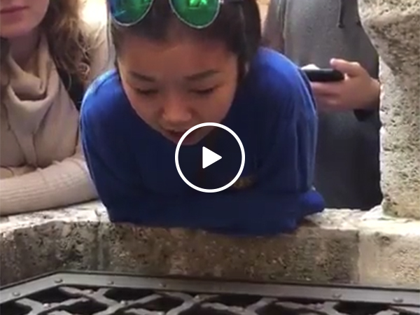 Girl beautifully sings into well in Italy (Video)