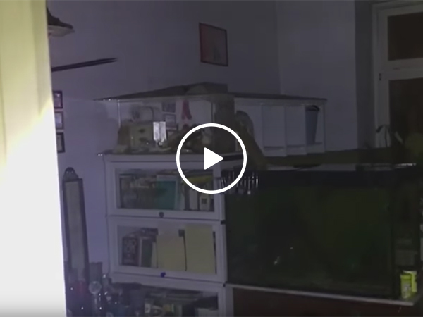 House is in shambles after landlord ignores complaints