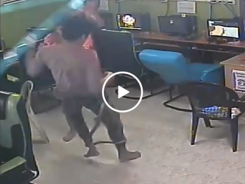 Scary moment snake slithers into internet cafe (Video)