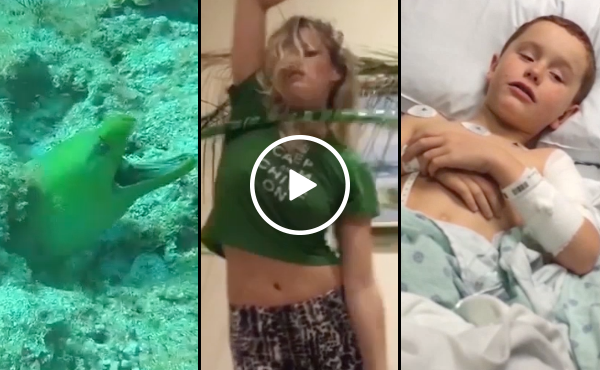 Top 5 User-Submits of April (Video)