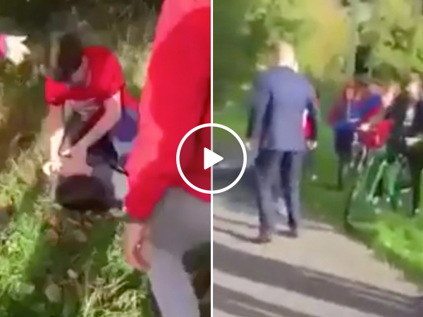 Conor McGregor doppelgänger stops bully dead in his tracks (Video)