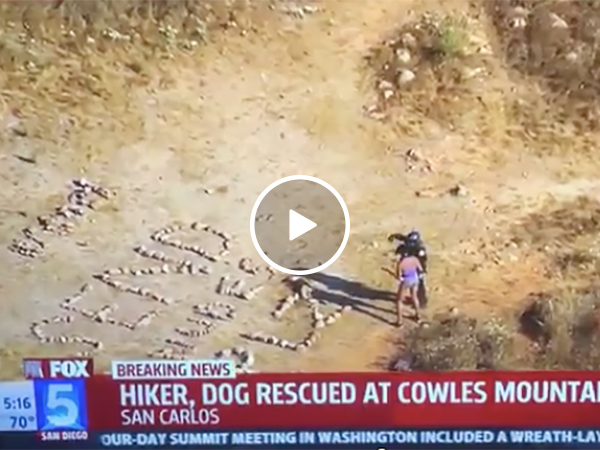 Hiker trolls news station