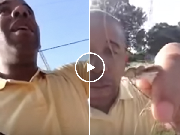 News reporter picks up rattlesnake on accident