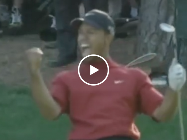 In case you forgot just how awesome Tiger Woods was at golf