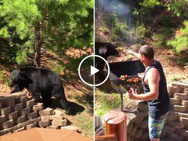 Dad risks life protecting BBQ from bear, is dad of all dads (Video)