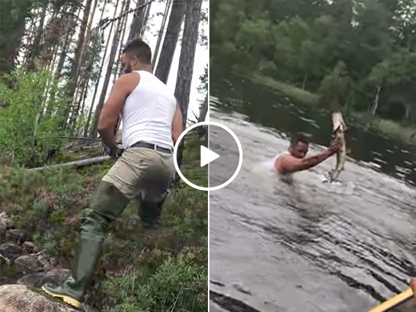 Guy catches fish with his bare hands