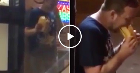 There's 'drunk' and then there's 'eating-styrofoam-while-barely-conscious drunk' (Video)