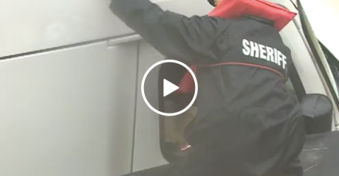 Reporter helps rescue man trapped in floodwaters (Video)