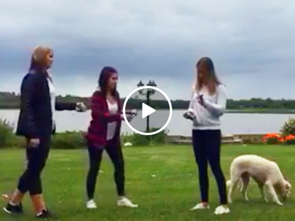 Losing your shotgun virginity can be rough (Video)