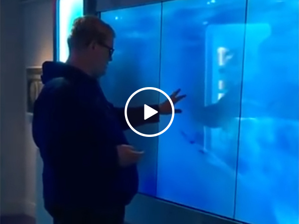 Fake Shark Surprises Guy Who Eats Shit