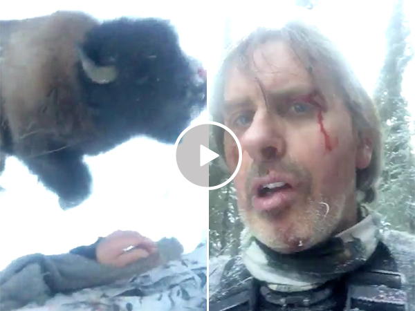 Hunter Takes Down a Buffalo After Being Charged
