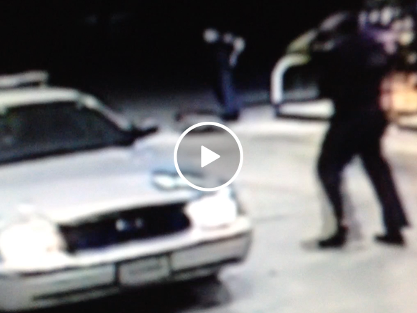 Security camera catches Police officers freak out over spider (Video)