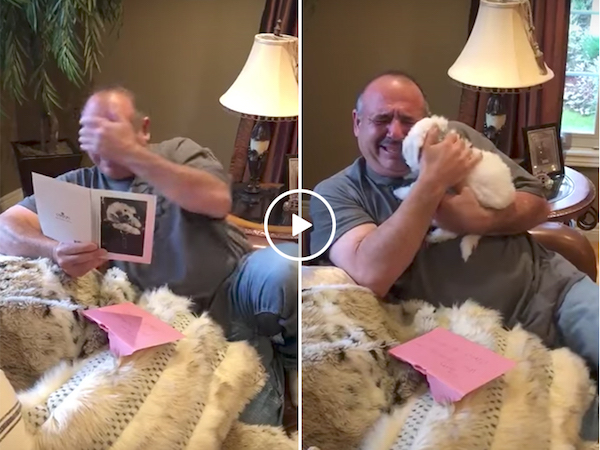 Man mourning dead dogs gets the awesome gift of a new friend