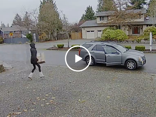 Nanny Runs Down a Robber and Catches the Thief