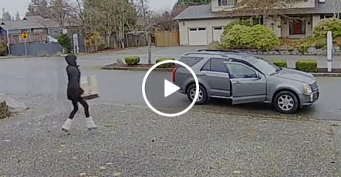 Nanny Runs Down a Robber and Catches the Thief