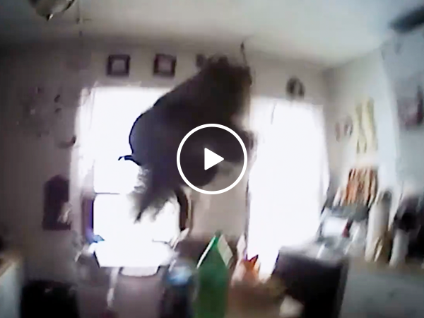 Squirrel attacks police officer in woman's home (Video)
