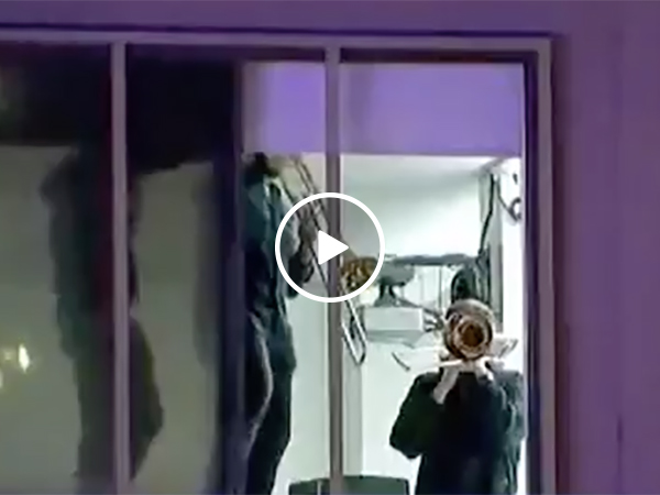 Philadelphia Partied Down Broad Street After Eagles' Super Bowl Win