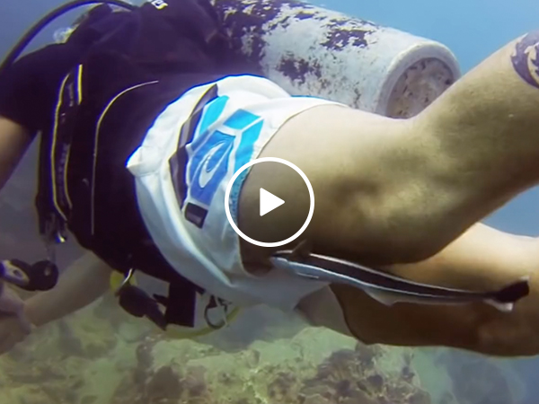Pesky remora fish wants to attach to diver (Video)